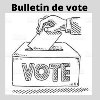 L’attribut alt de cette image est vide, son nom de fichier est Bulletin-de-vote-SITE.png.